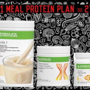 1 Meal Protein Program with ShakeMate