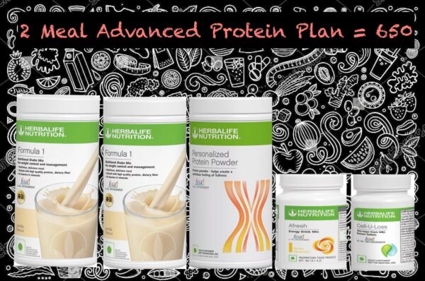 2 Meal Advanced Protein Program