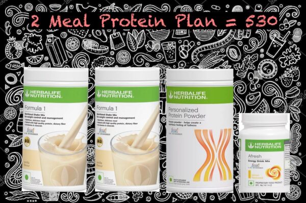 2 Meal Protein Program