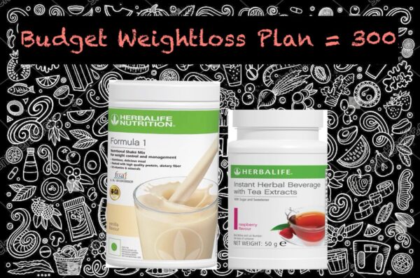 Budget Weight loss Program (Shake + Fiber)